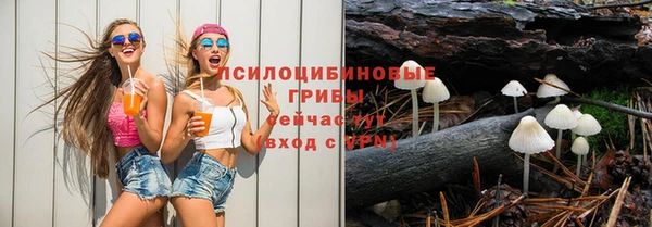 mix Сатка