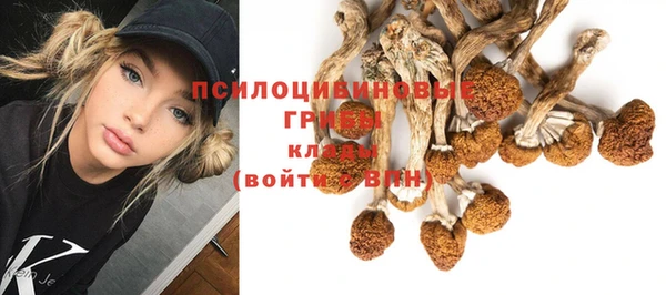 jwh Алзамай