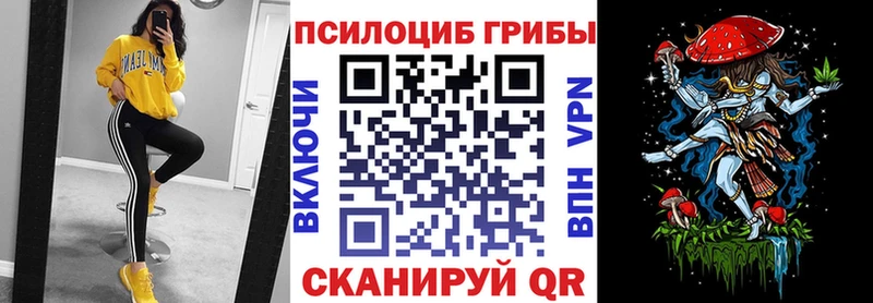 ОМГ ОМГ сайт  купить  цена  Зубцов  Псилоцибиновые грибы Magic Shrooms 